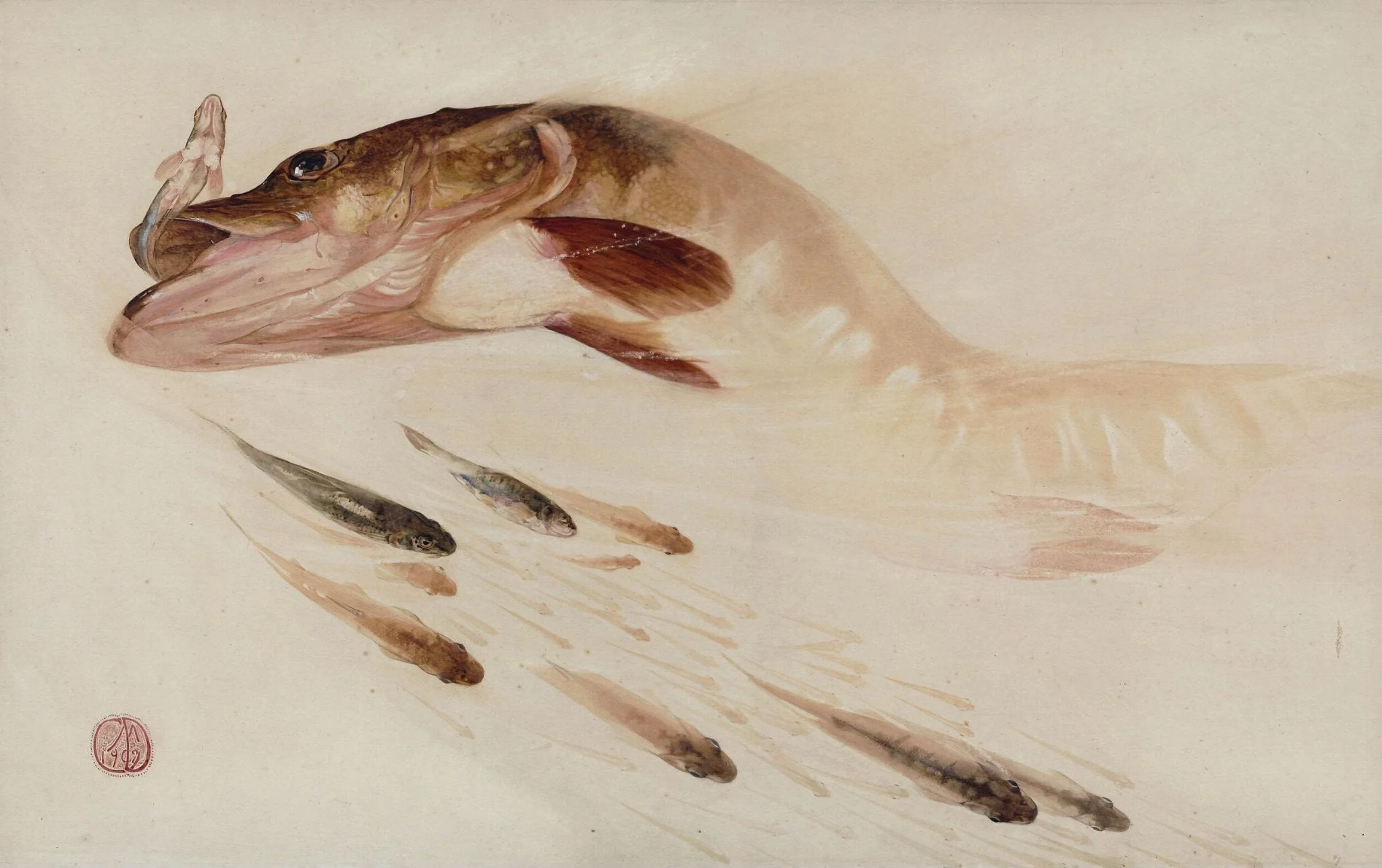 A Pike Pursuing Small Fish, by Charles Maurice Detmold, watercolor, 1902