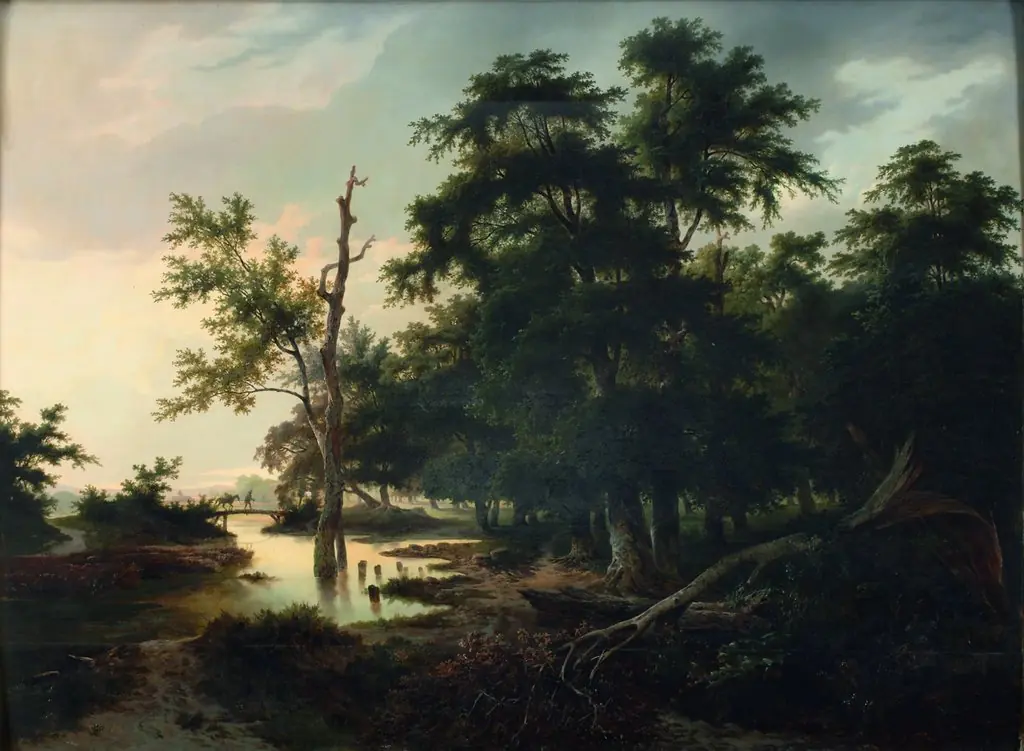 Forest landscape