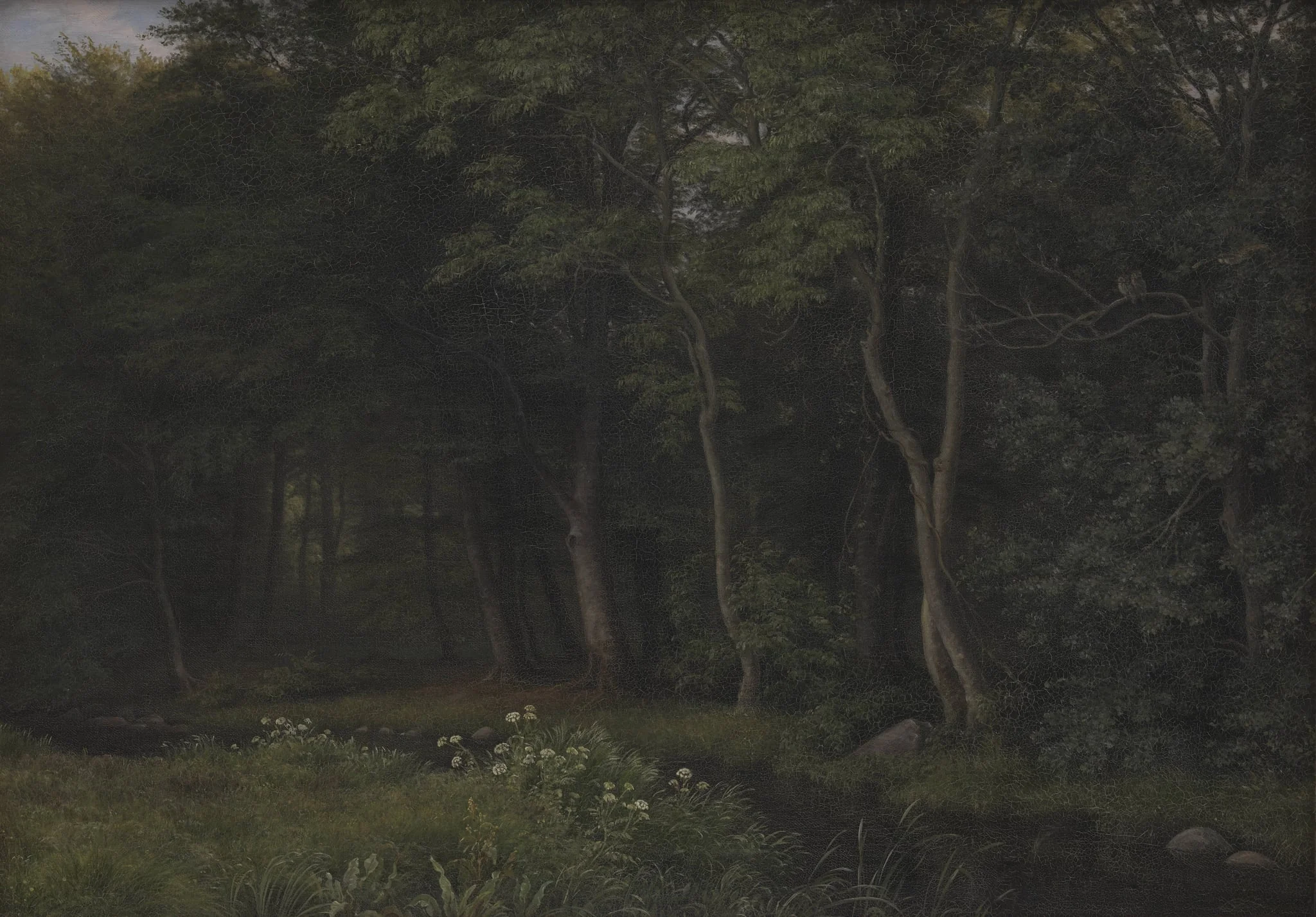 Twilight Setting in a Wood near Iselingen Manor, Zealand