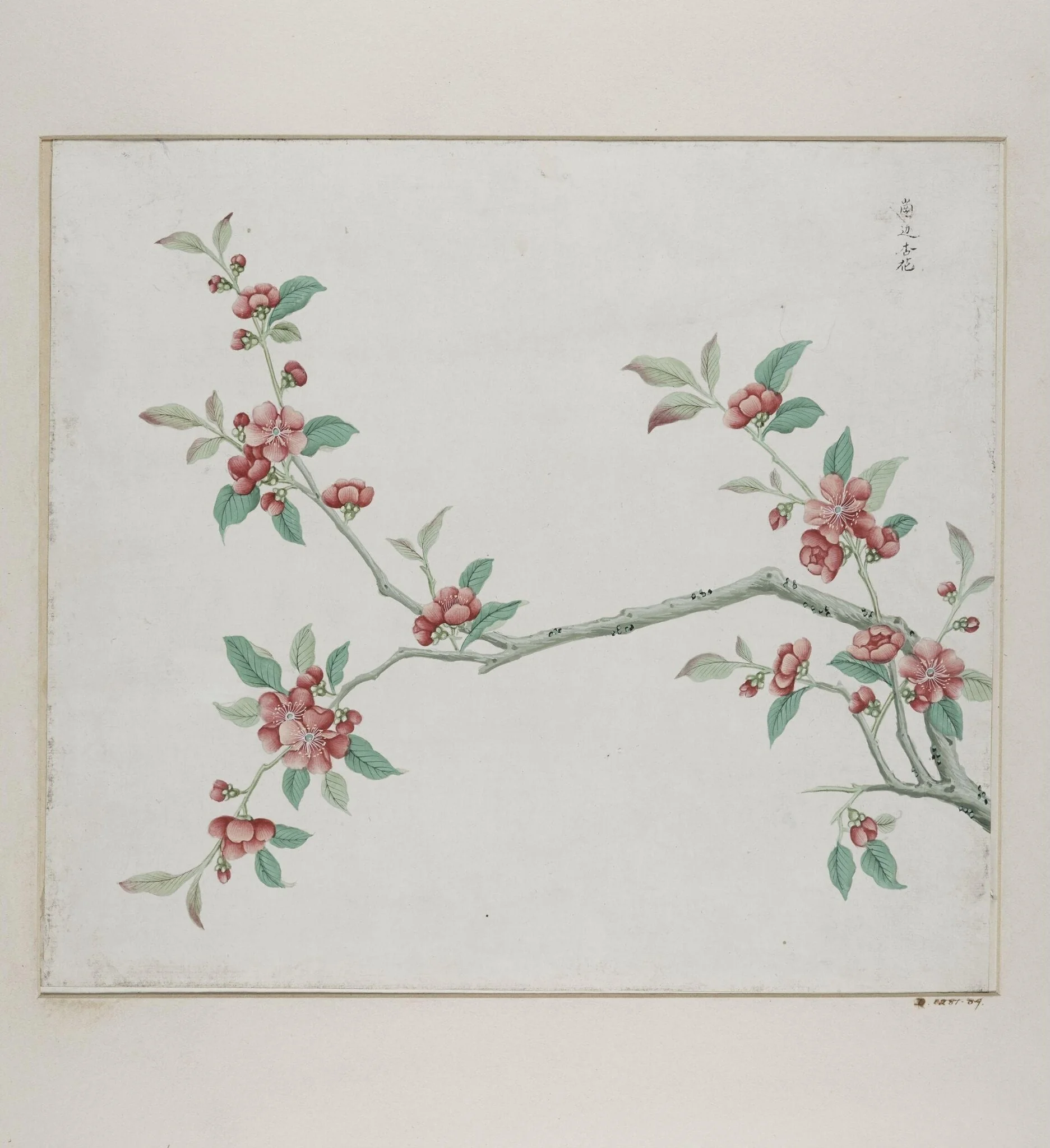 Gang bian xing hua, by Unknown, paint, 1780