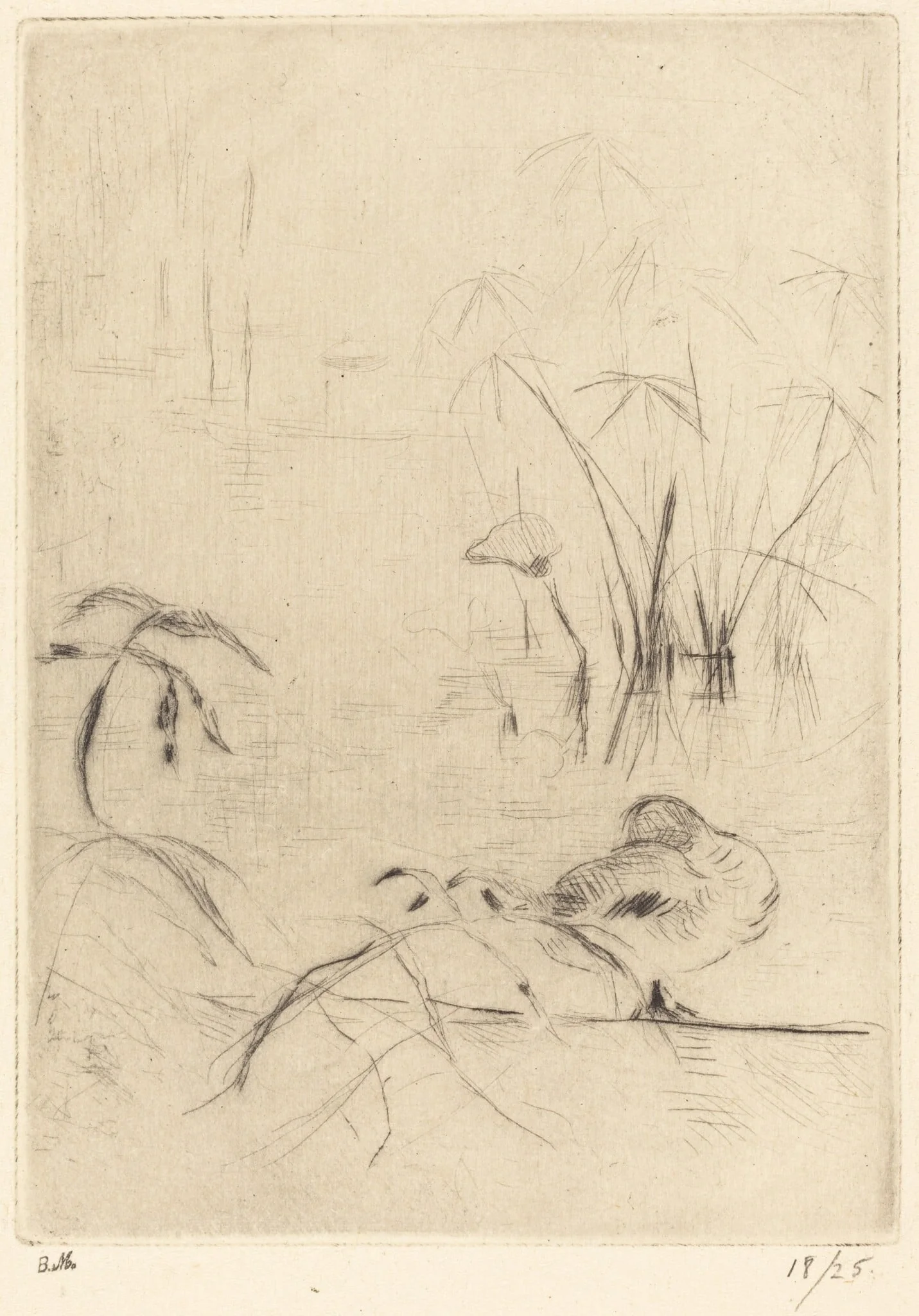 Ducks at Rest on the Bank, by Berthe Morisot, ink, 1889