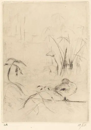 Ducks at Rest on the Bank