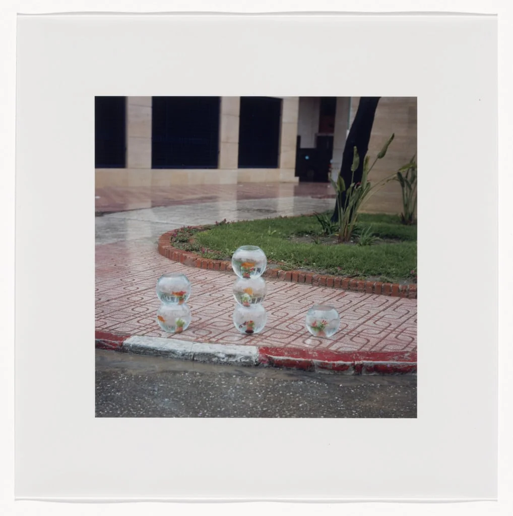 Untitled