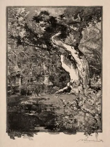Le Clovis, Plateau de Bellecroix