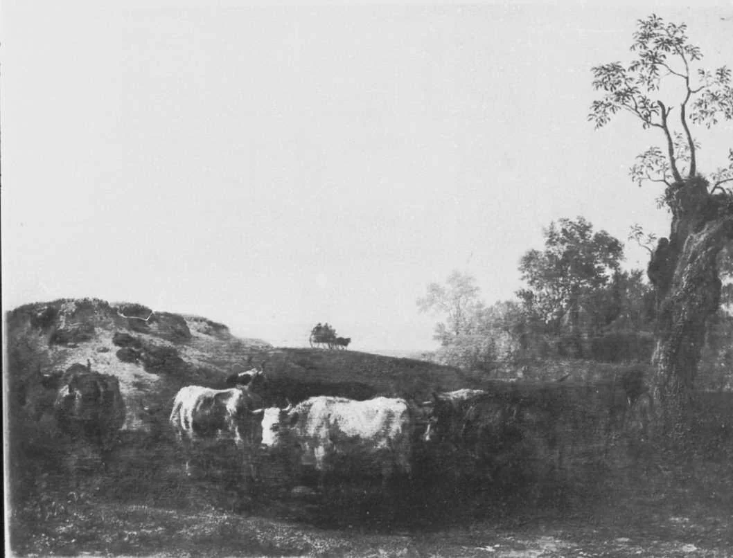 Cattle Driver with Herd