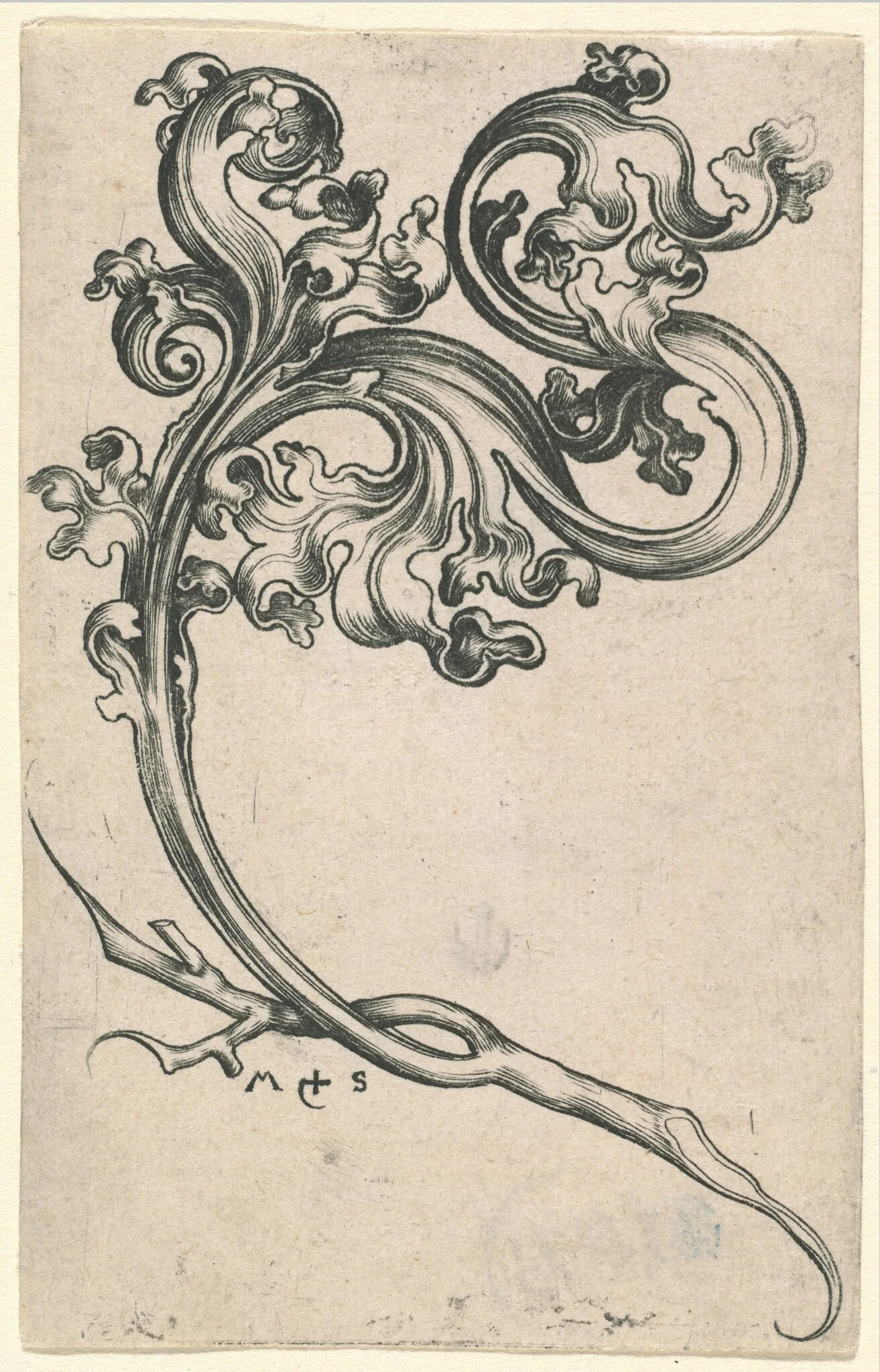 Leaf Ornament, by Martin Schongauer, ink, 1485