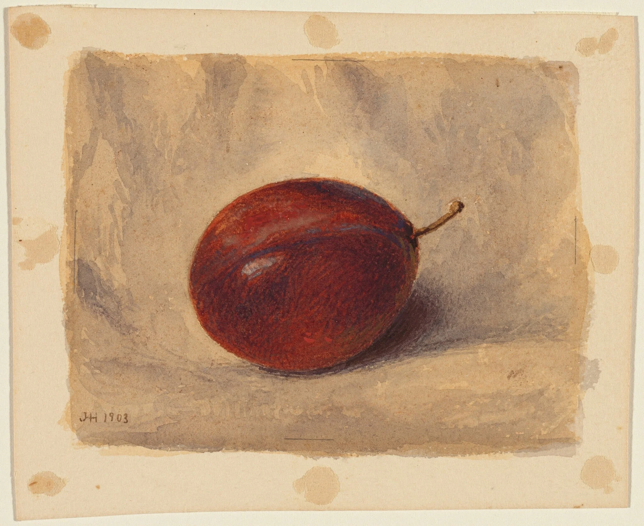 Plum