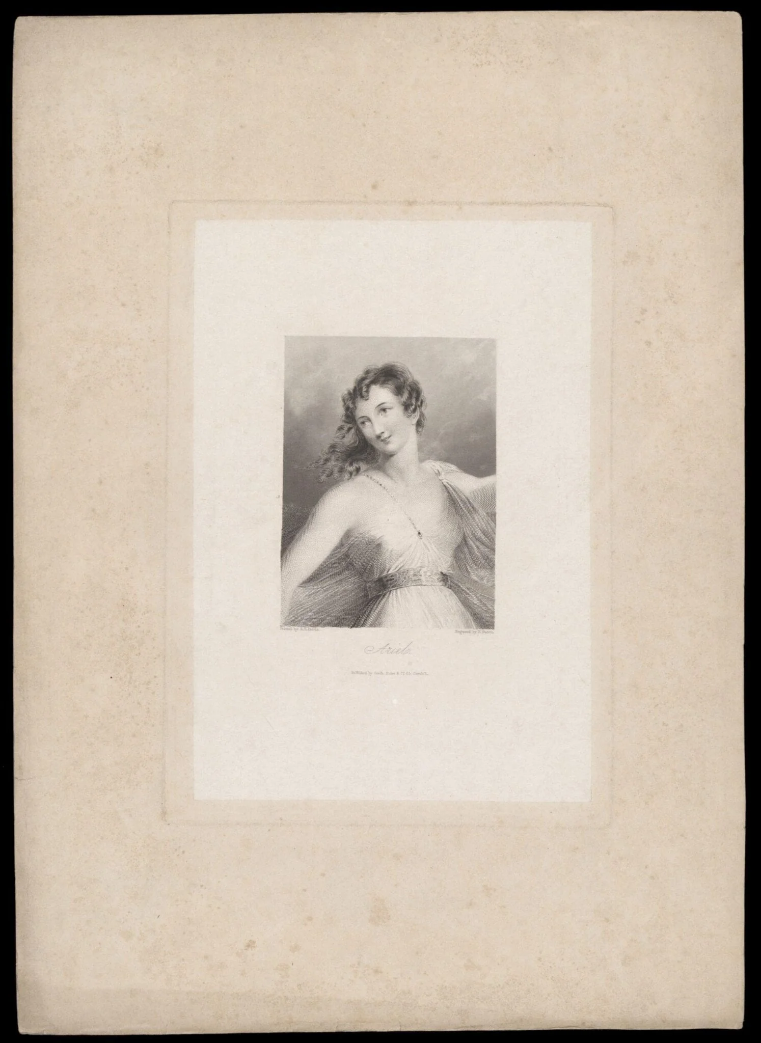 H Beard Print Collection