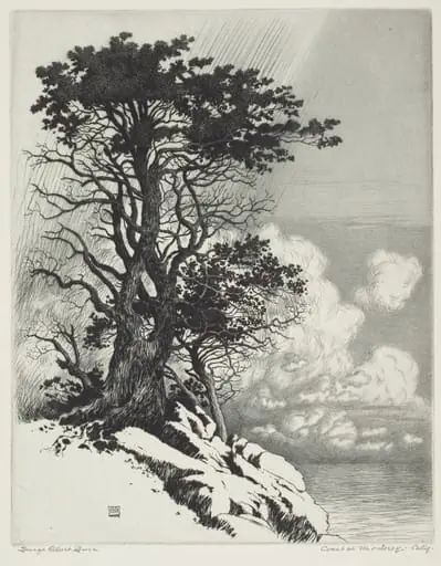 Coast at Monterey, California