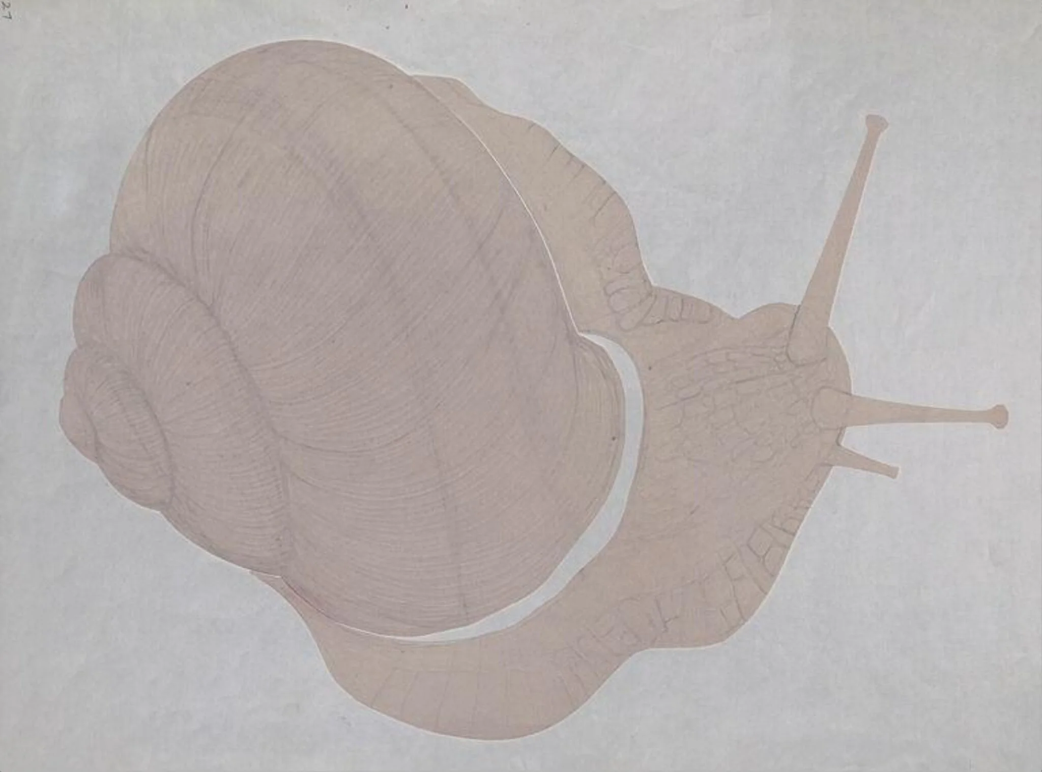 Untitled, by E. H. Peskett, 1981