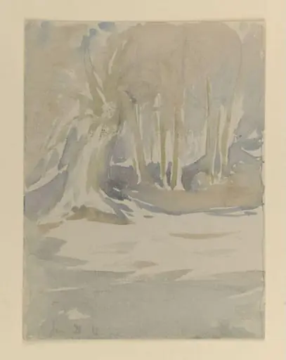 A clearing under snow