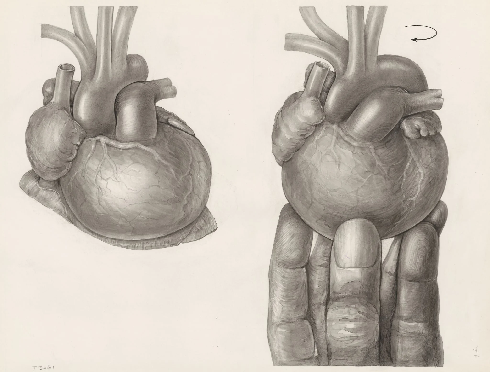 Two hearts, one being rotated by a hand