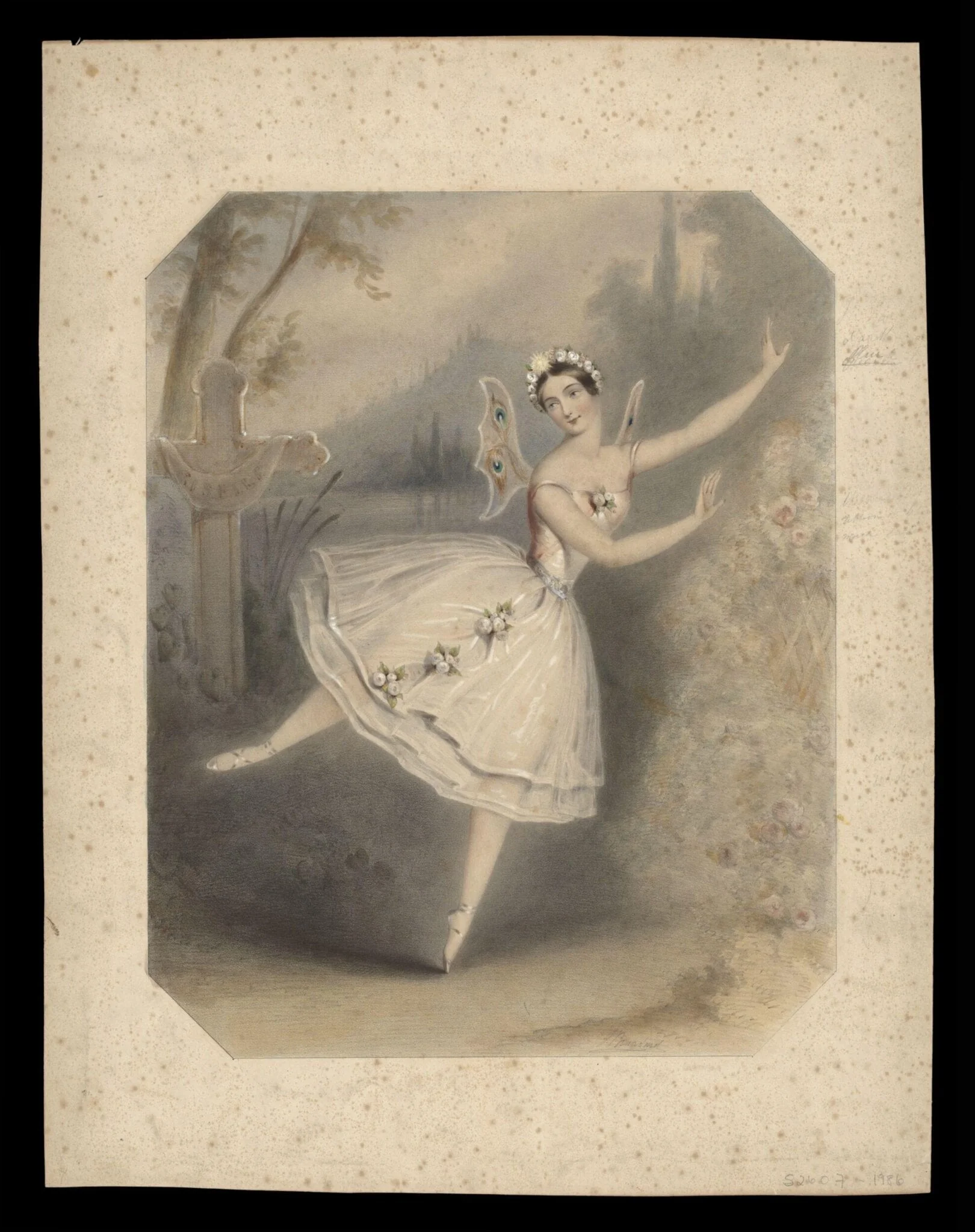 Print Collection