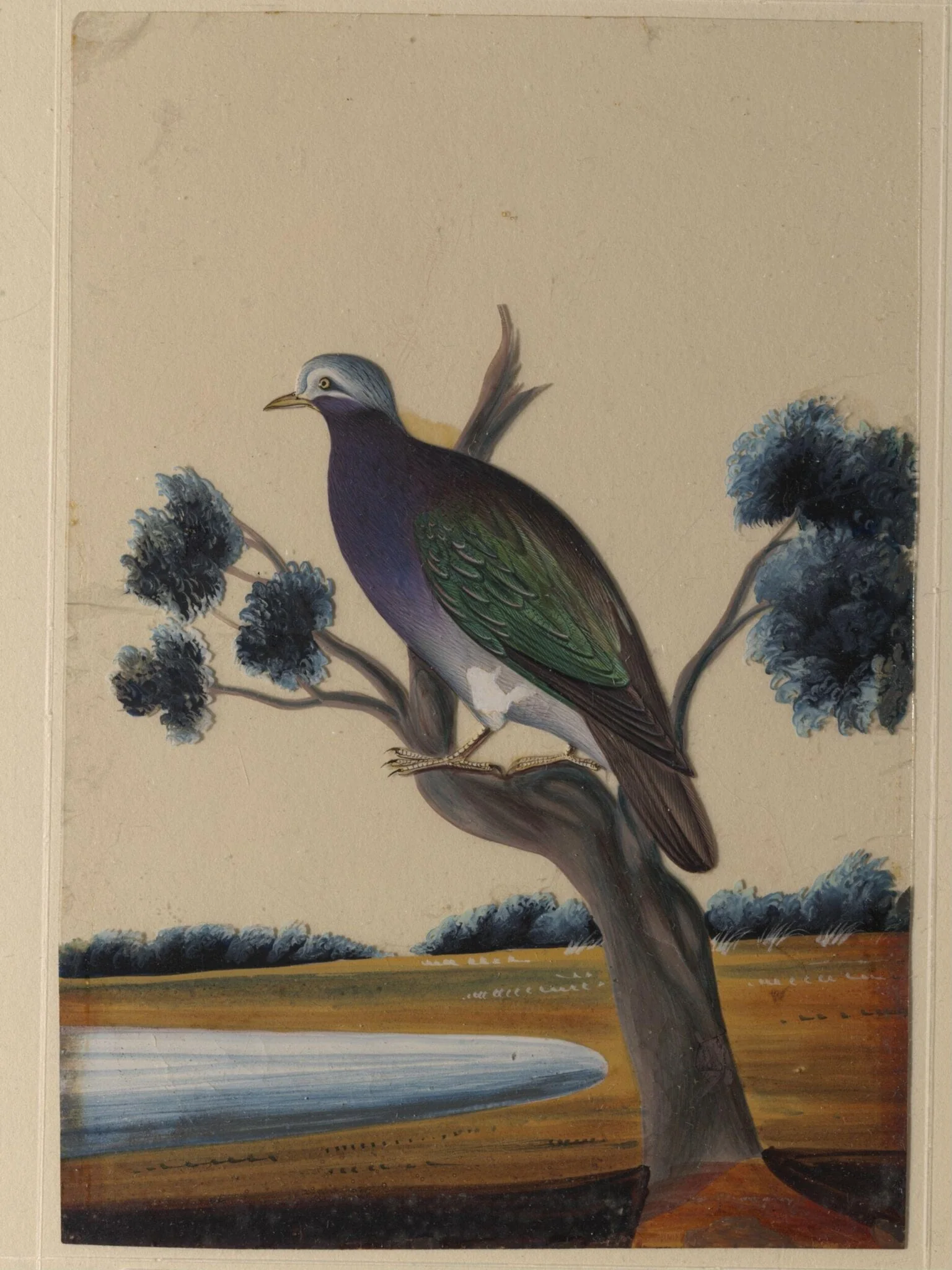 One of nine drawings of birds.