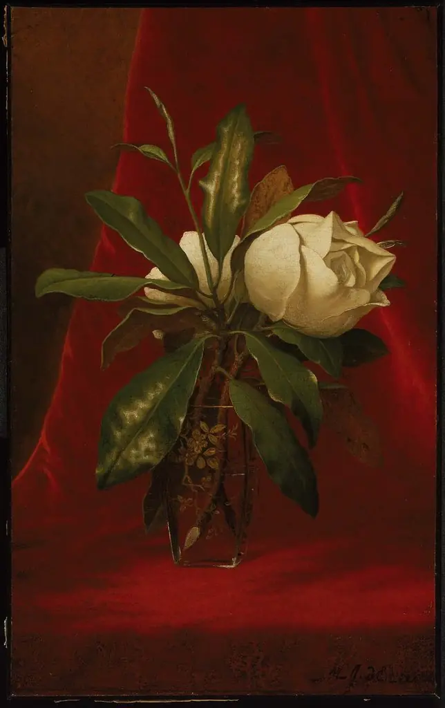 Magnolias
