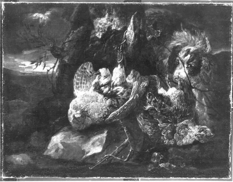 Q29909387