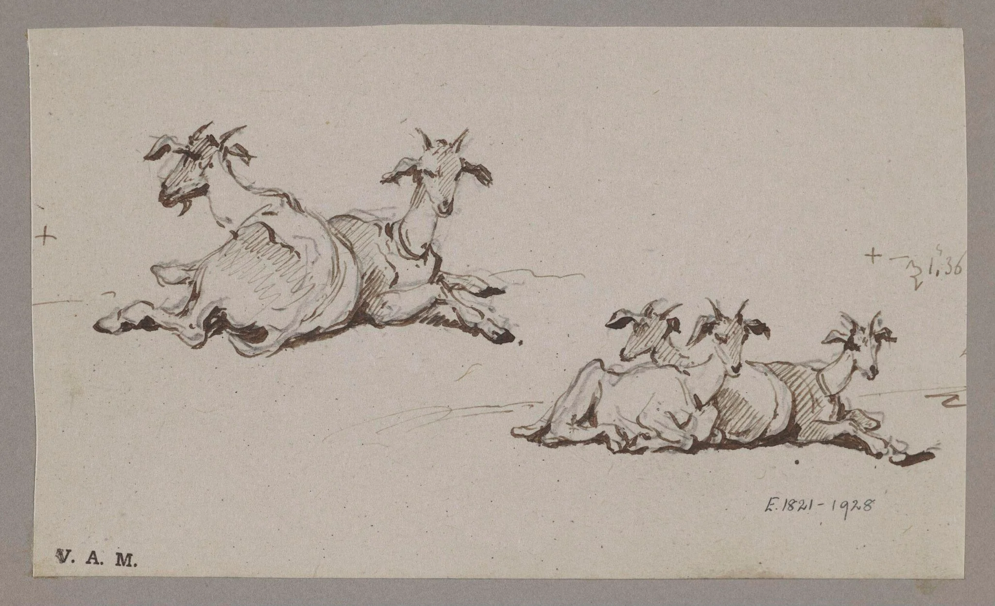 Two groups of goats, by George Chinnery, 6