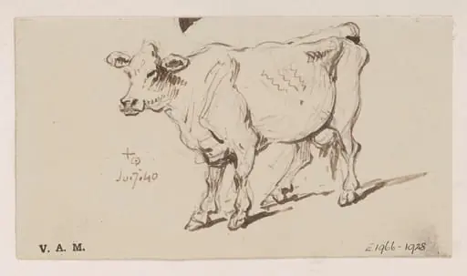 A standing cow