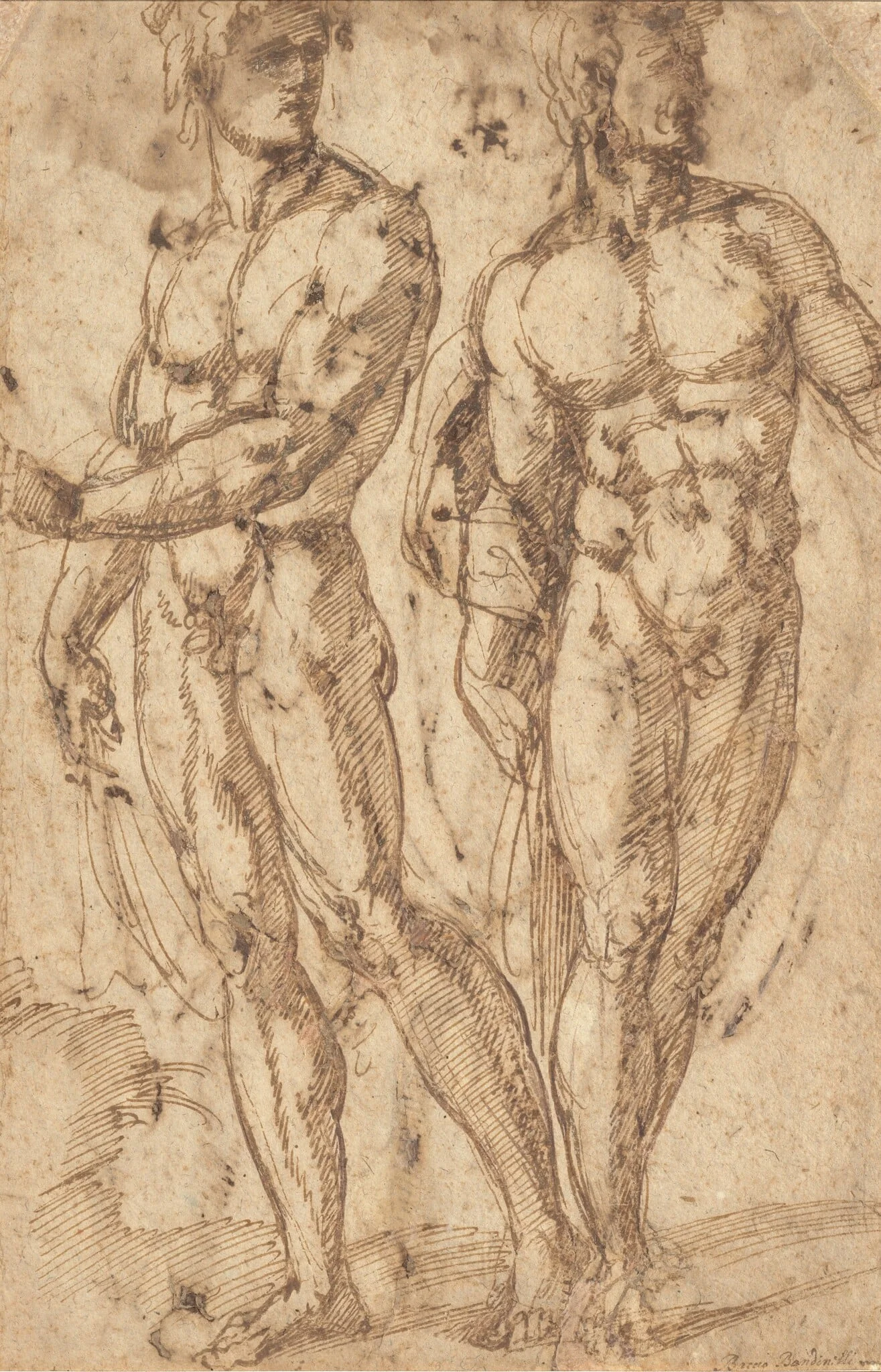Two Male Nudes, by Baccio Bandinelli, ink, 1520