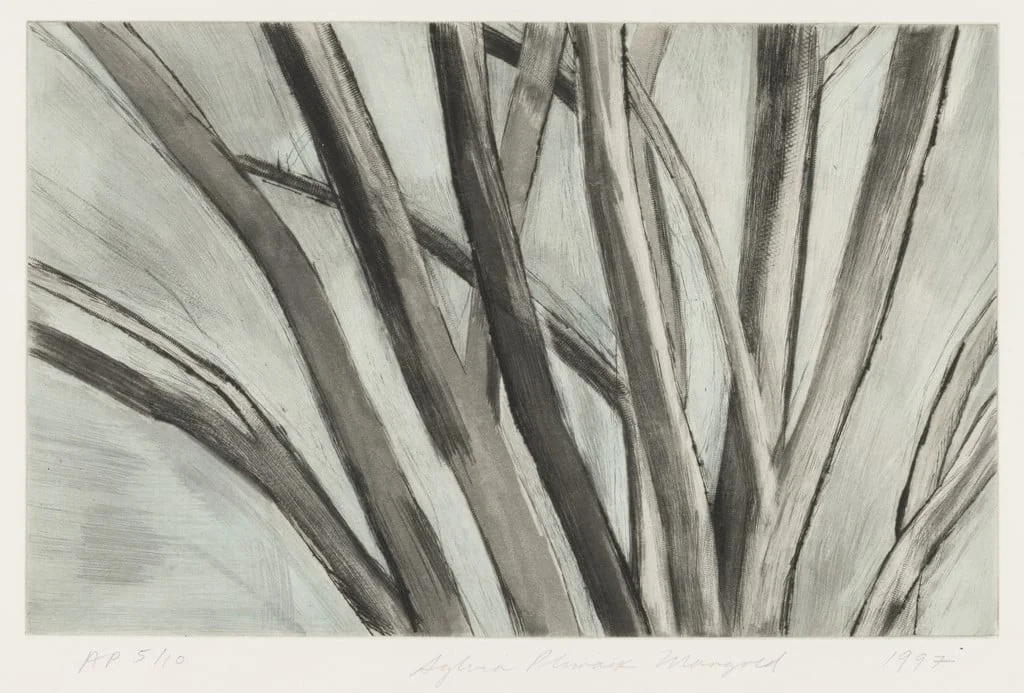 Untitled, by Sylvia Plimack Mangold, ink, 1997