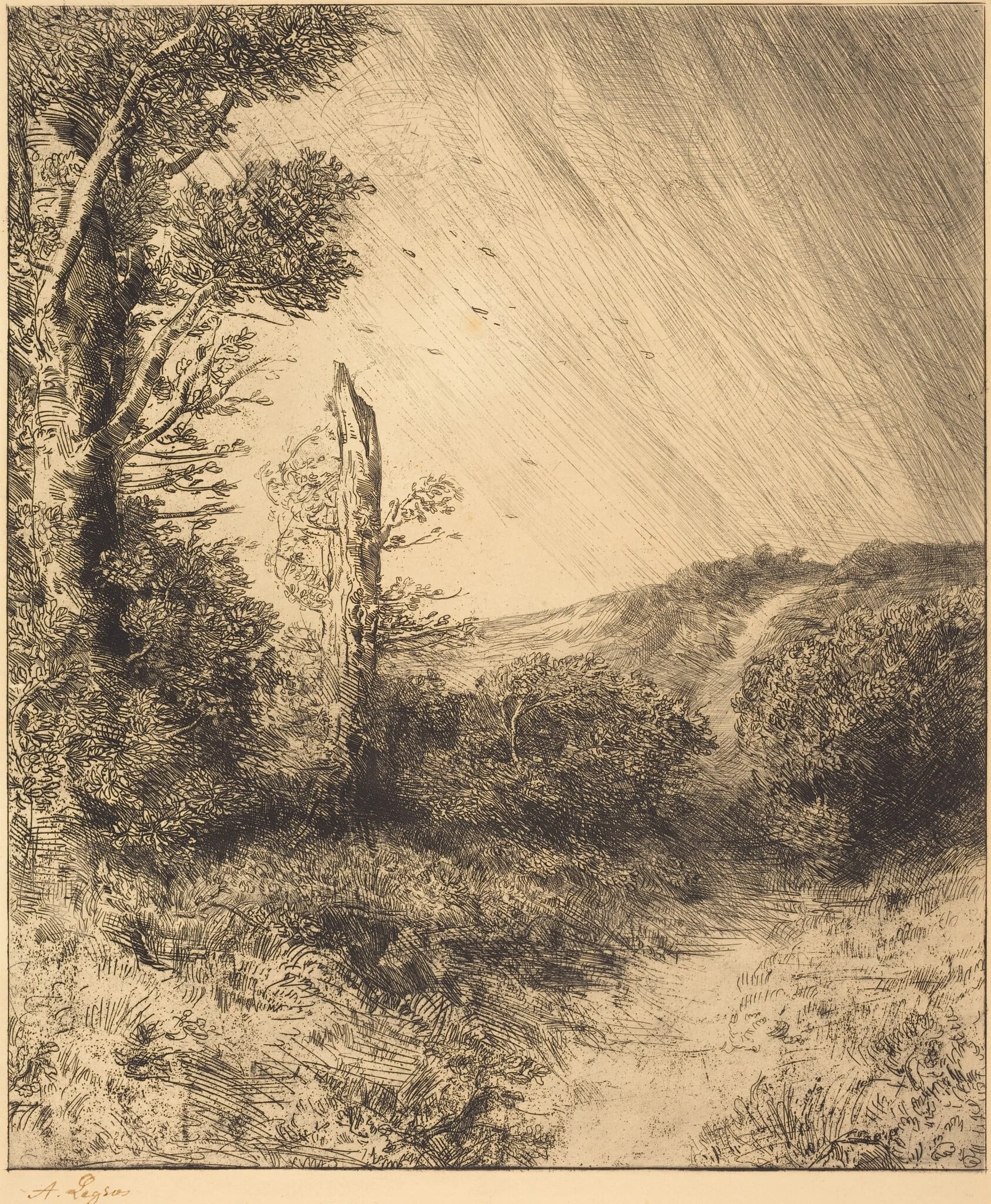 Gust of Wind (Le coup de vent), by Alphonse Legros, ink, 1874