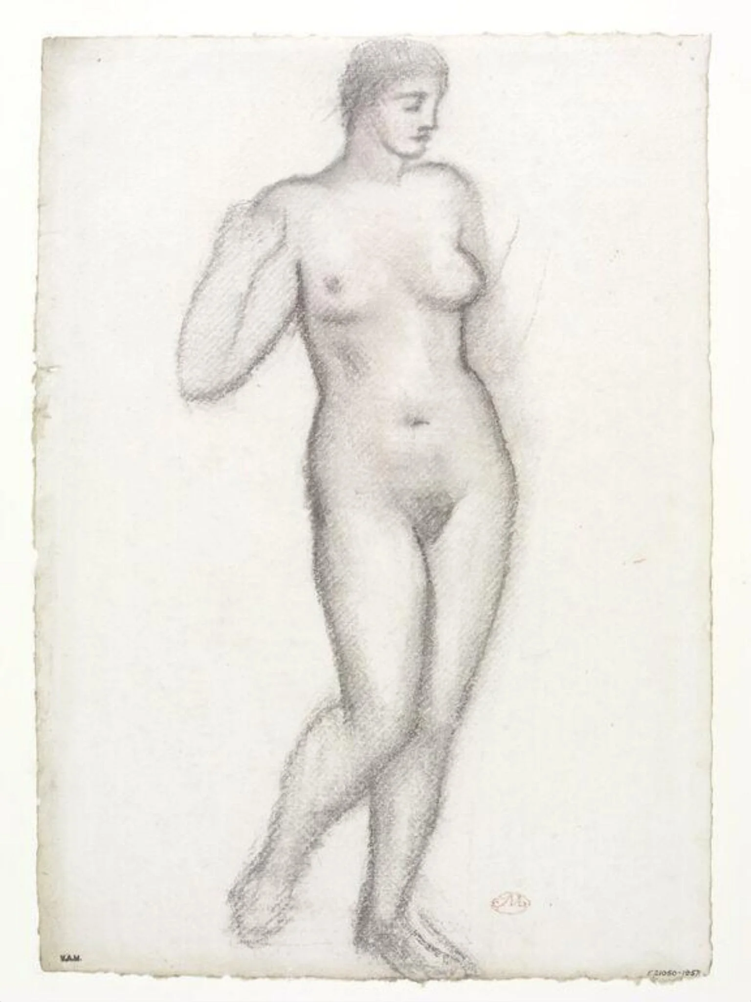 Standing nude, a study for sculpture