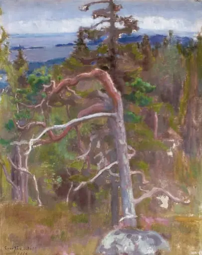 Kolin maisema