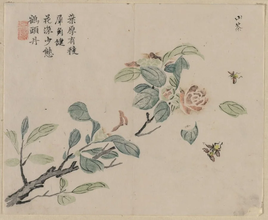 Flowering Branch with Bees, by Unknown, 1750