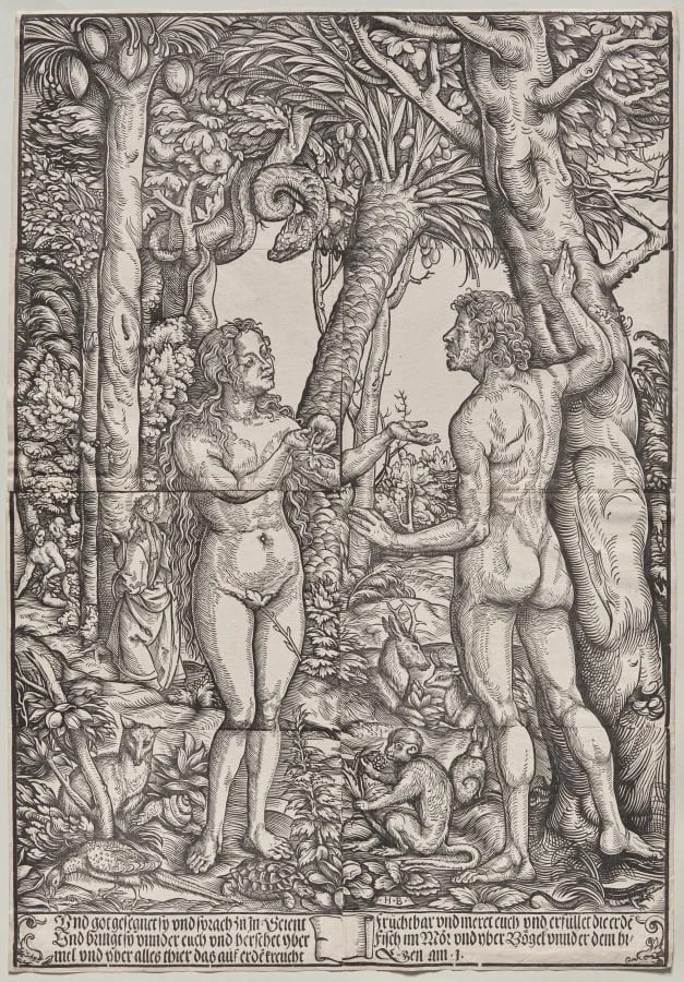 The Fall of Adam and Eve, by Hans Burgkmair the Elder, 1525