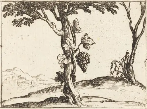 Bunch of Grapes
