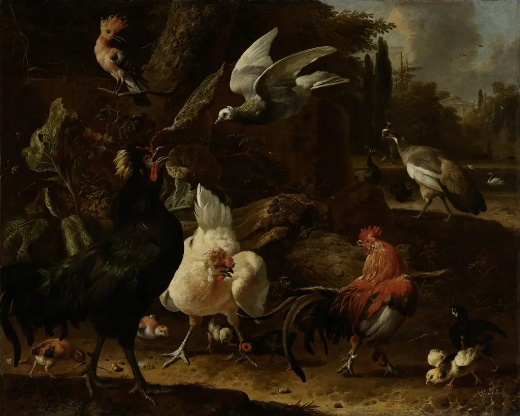 Birds in a park