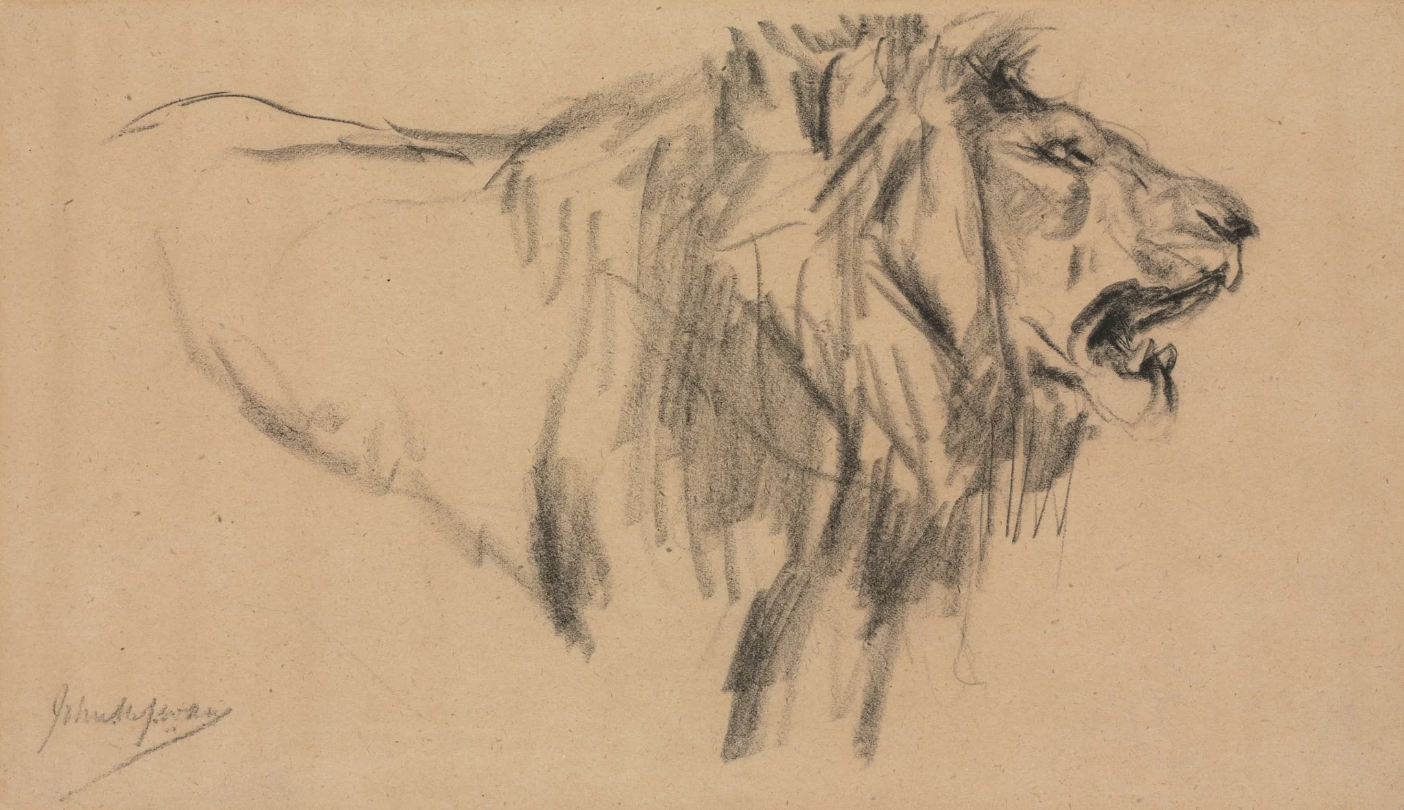 Lion, by John Macallan Swan, 1886