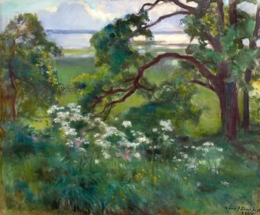 Maisema (Tuusulanjärveltä)