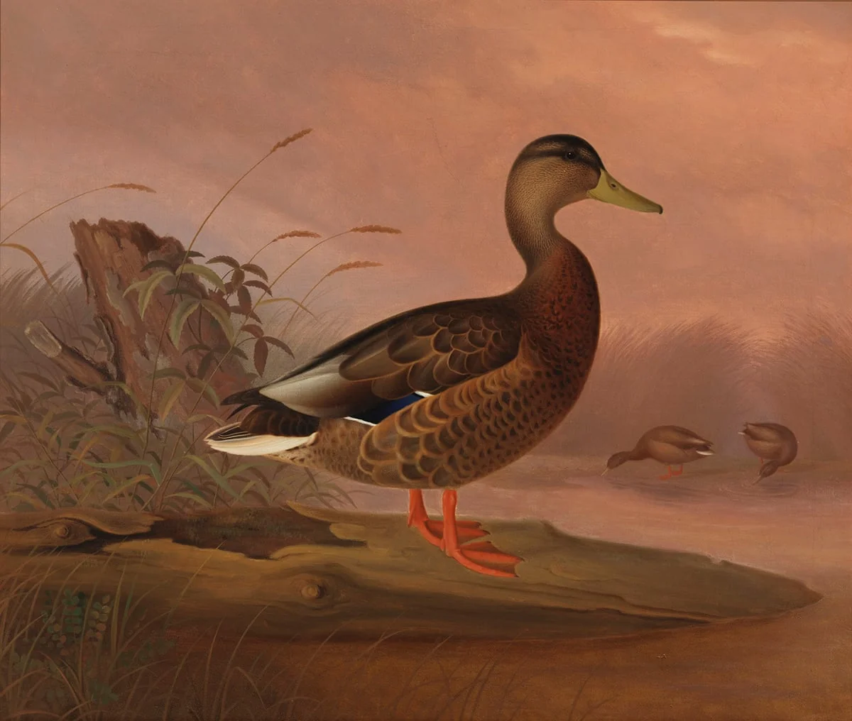 Heinäsorsa, by Ferdinand von Wright, unspecified