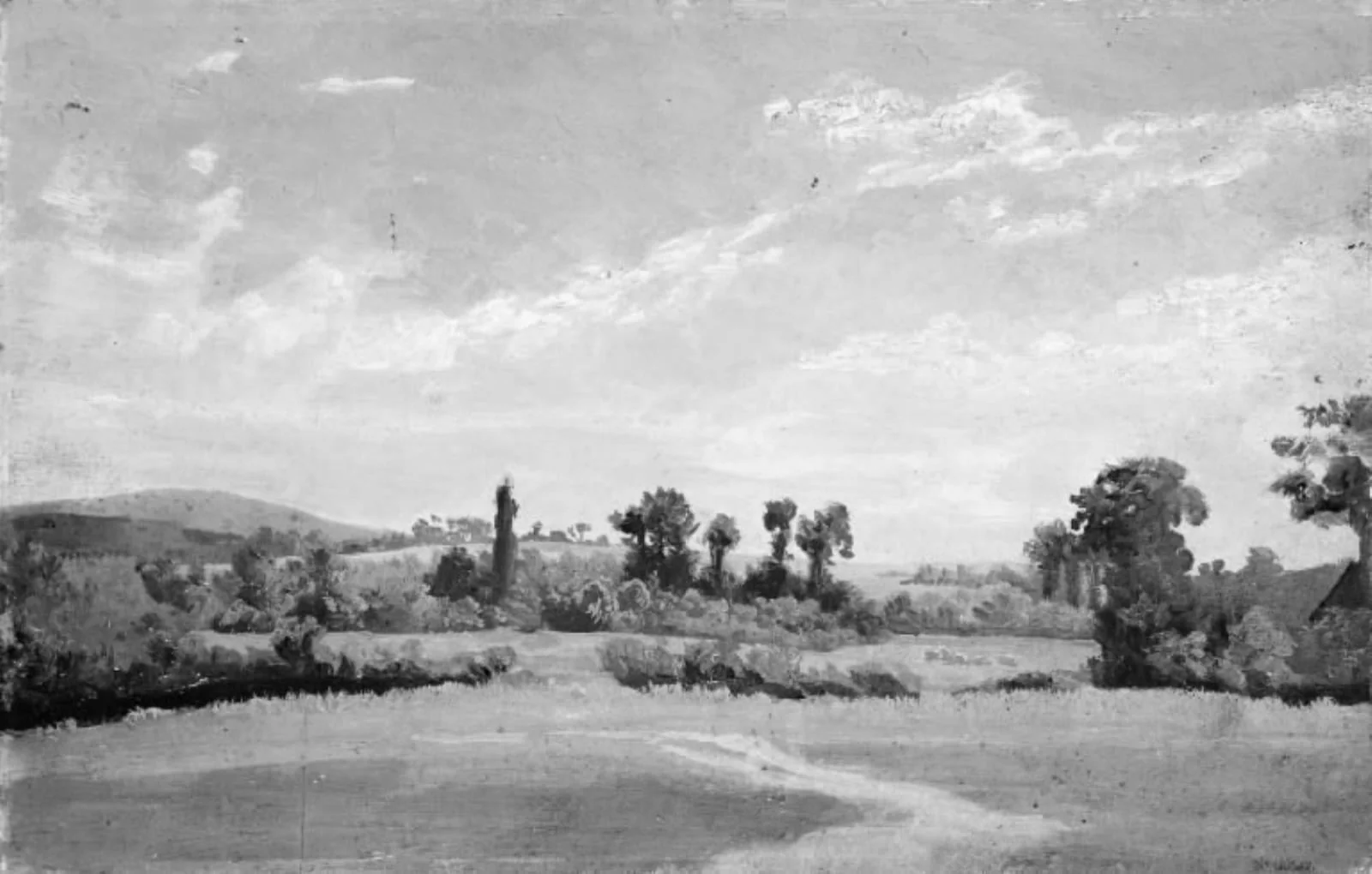 Open Landscape with Low Hills. Summer