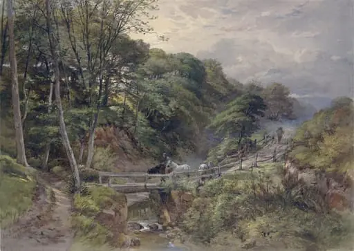 A Yorkshire Beck