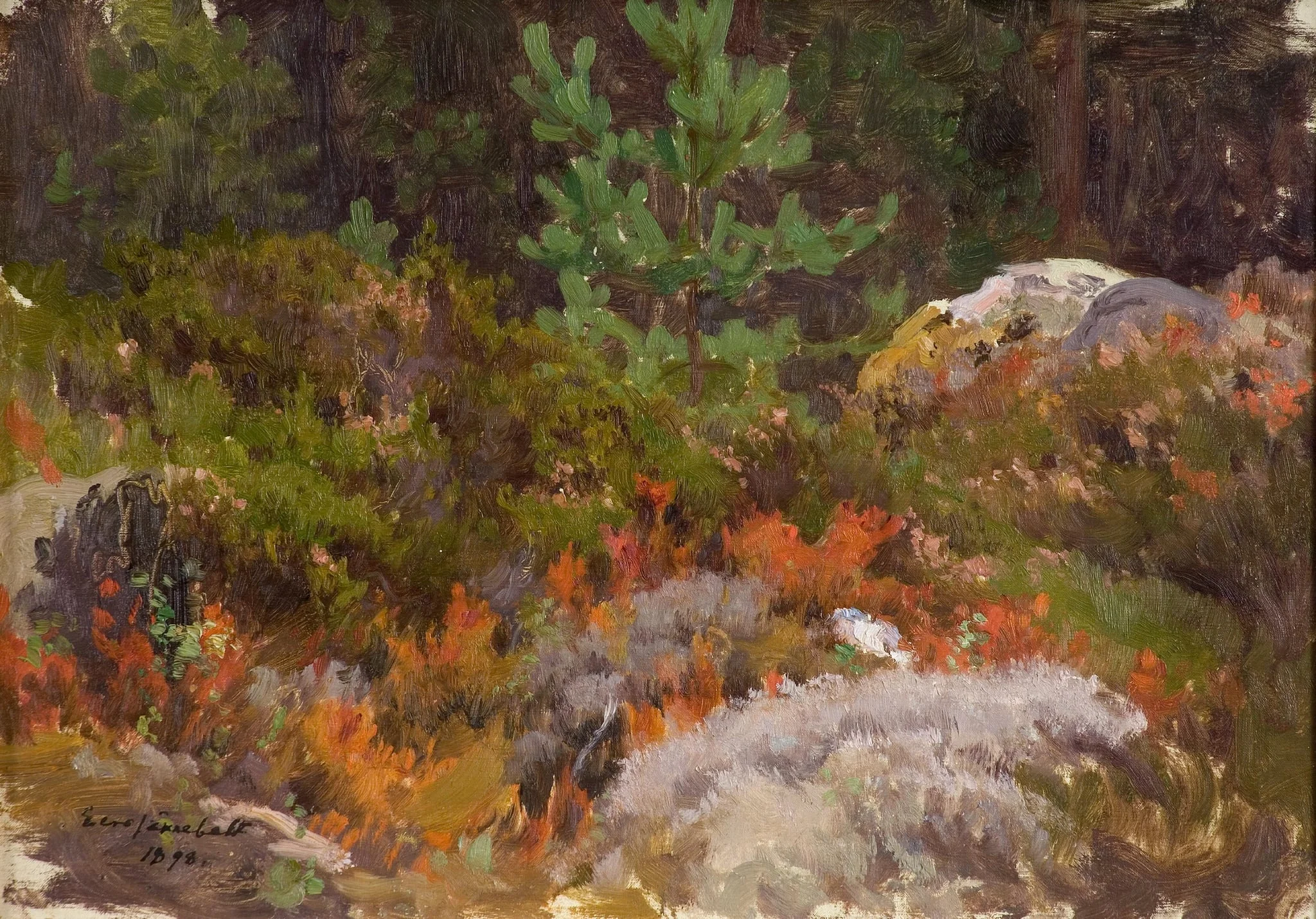 Metsä