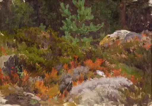 Metsä