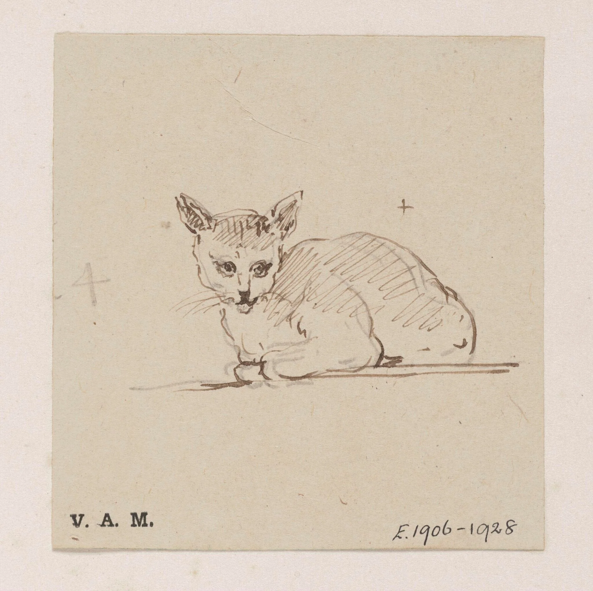 A cat, by George Chinnery, 19