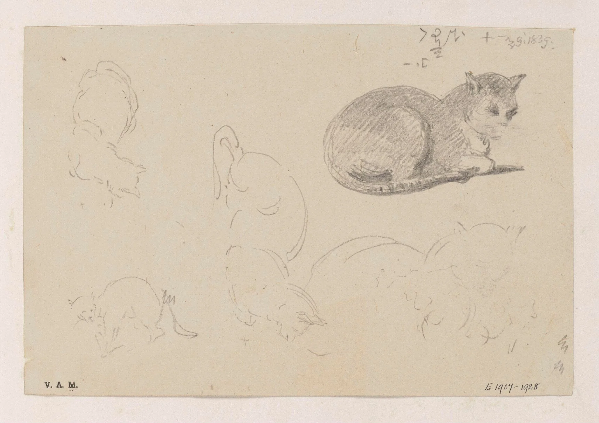 A cat, with related sketches, by George Chinnery, 10