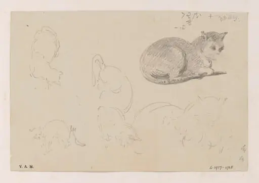 A cat, with related sketches