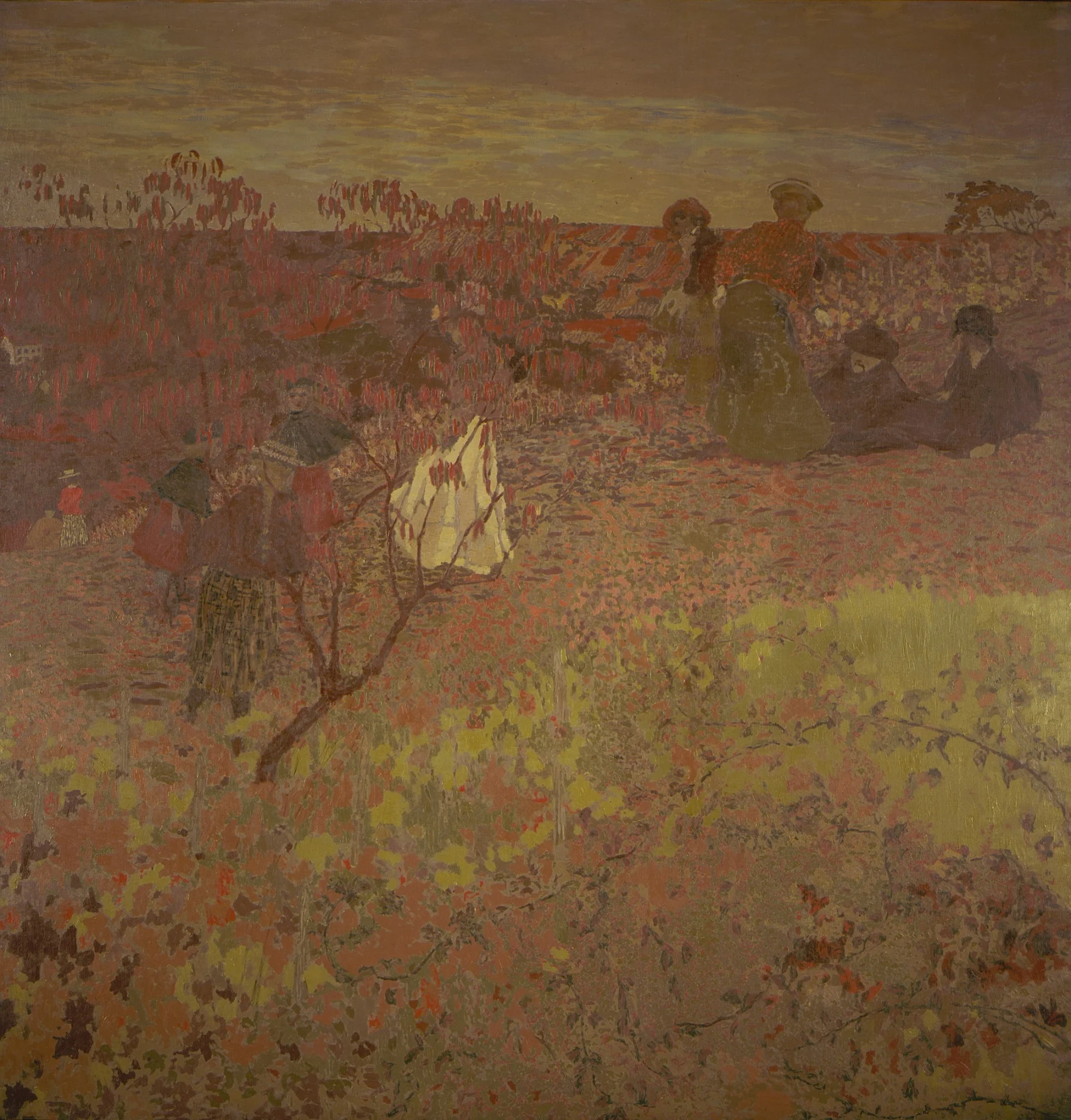 Walking in the Vineyard