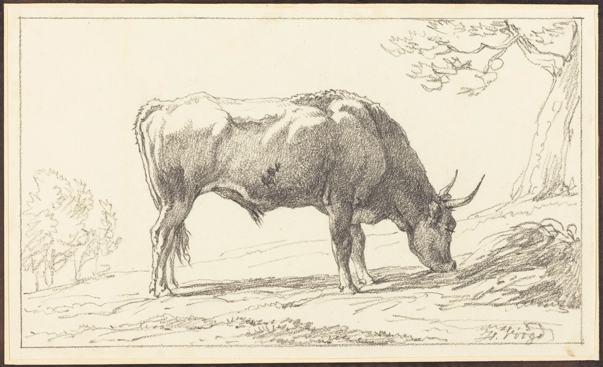 A Young Bull Grazing, by Hendrik Voogd, chalk, 1804
