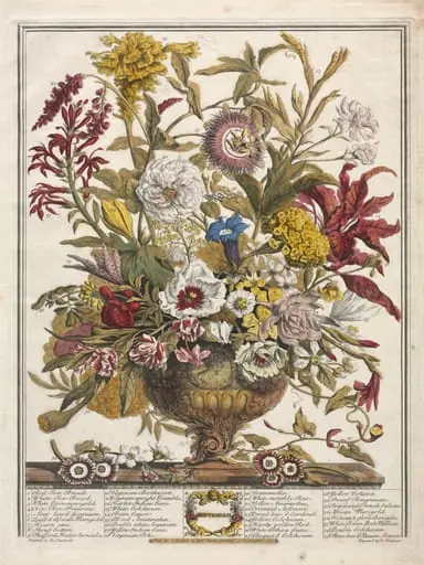 Twelve Months of Flowers:  September