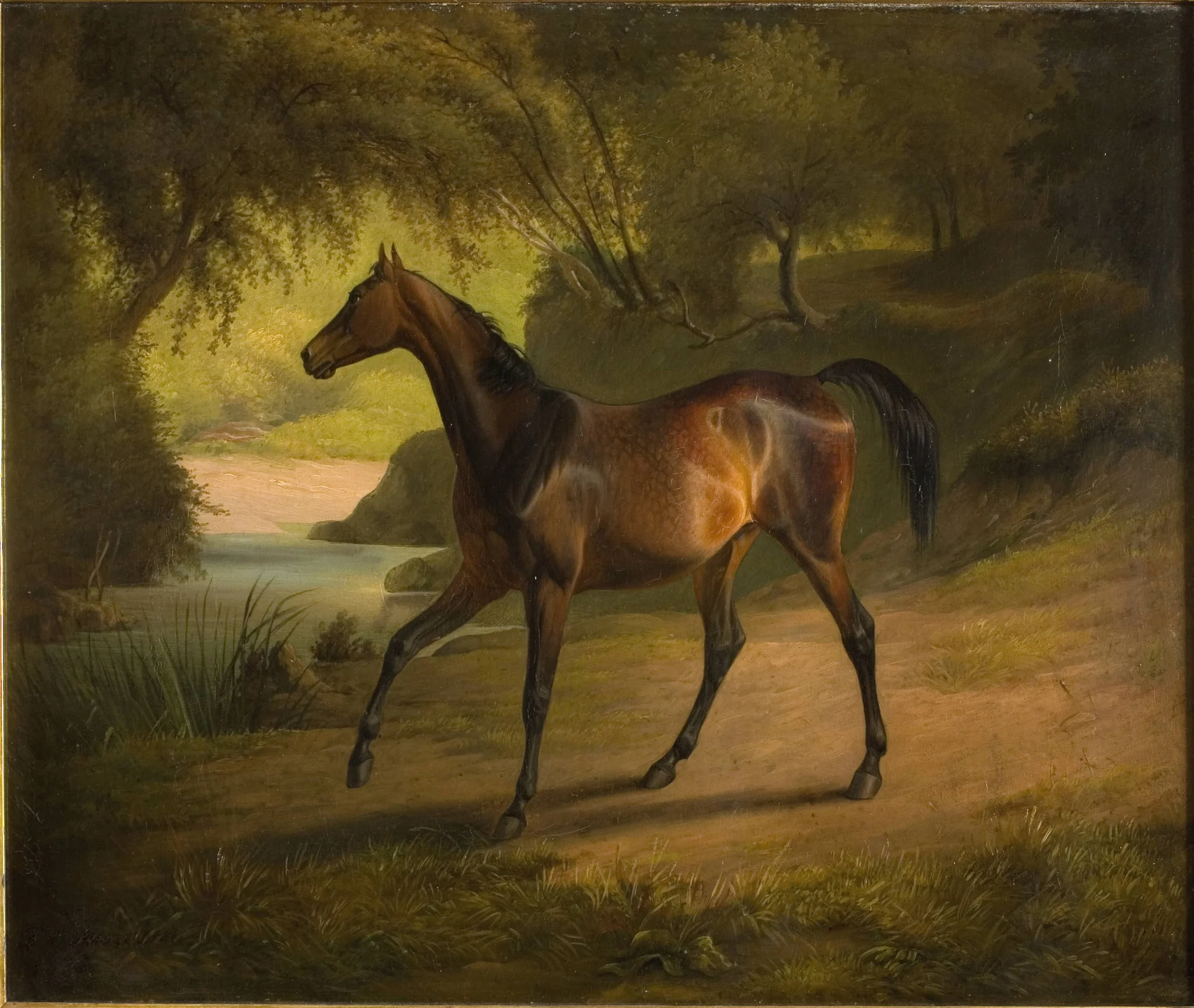 Antonia, by Unknown, 1850