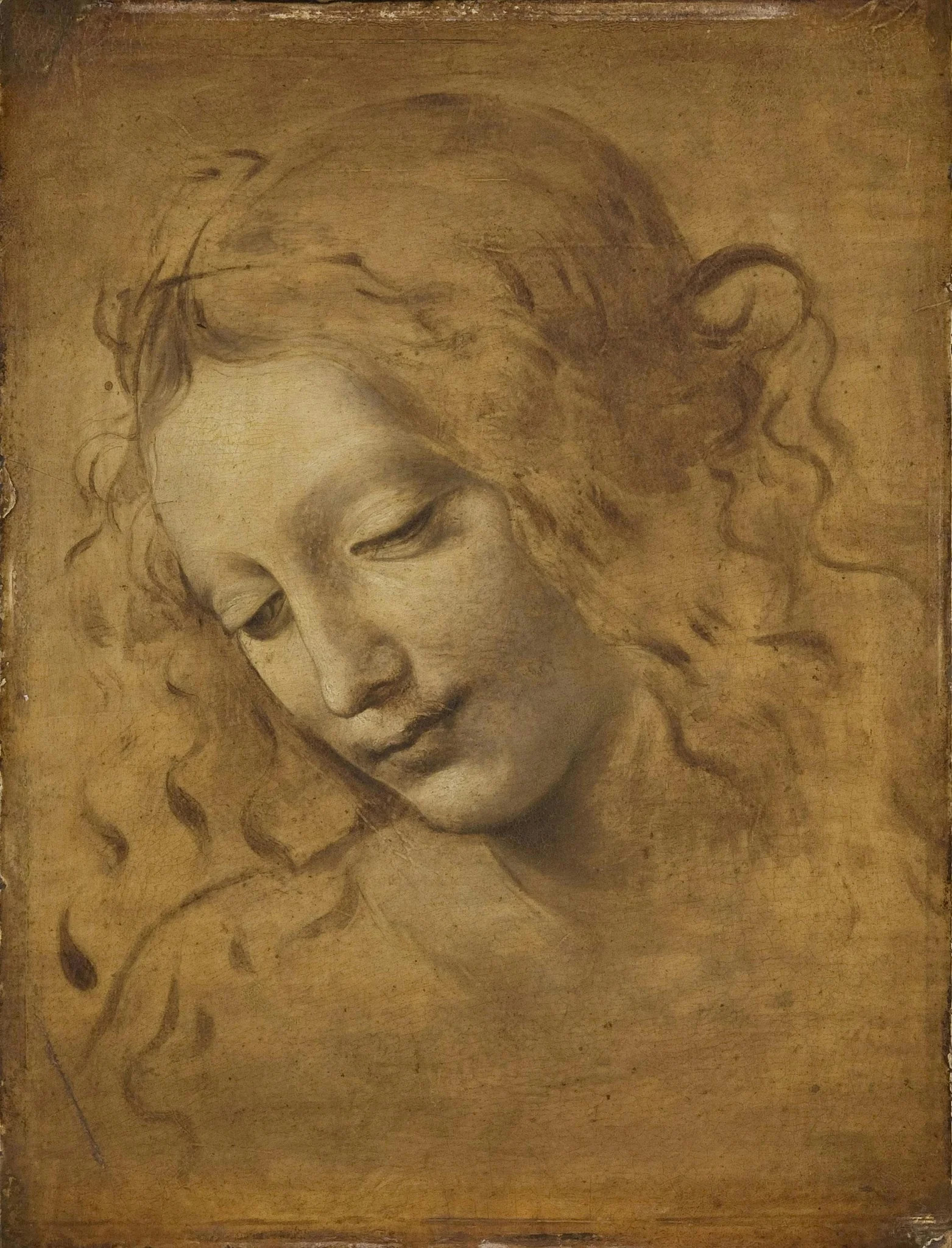 Head of a Woman, by Unknown, unspecified