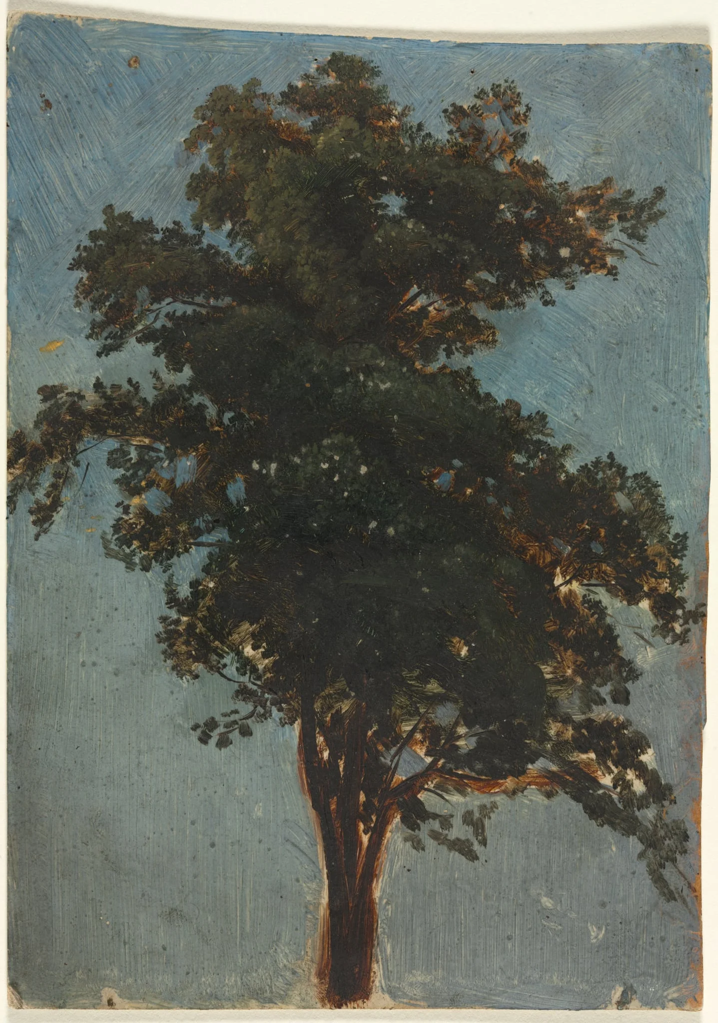 Tree Study, by Alexandre Calame, 1844