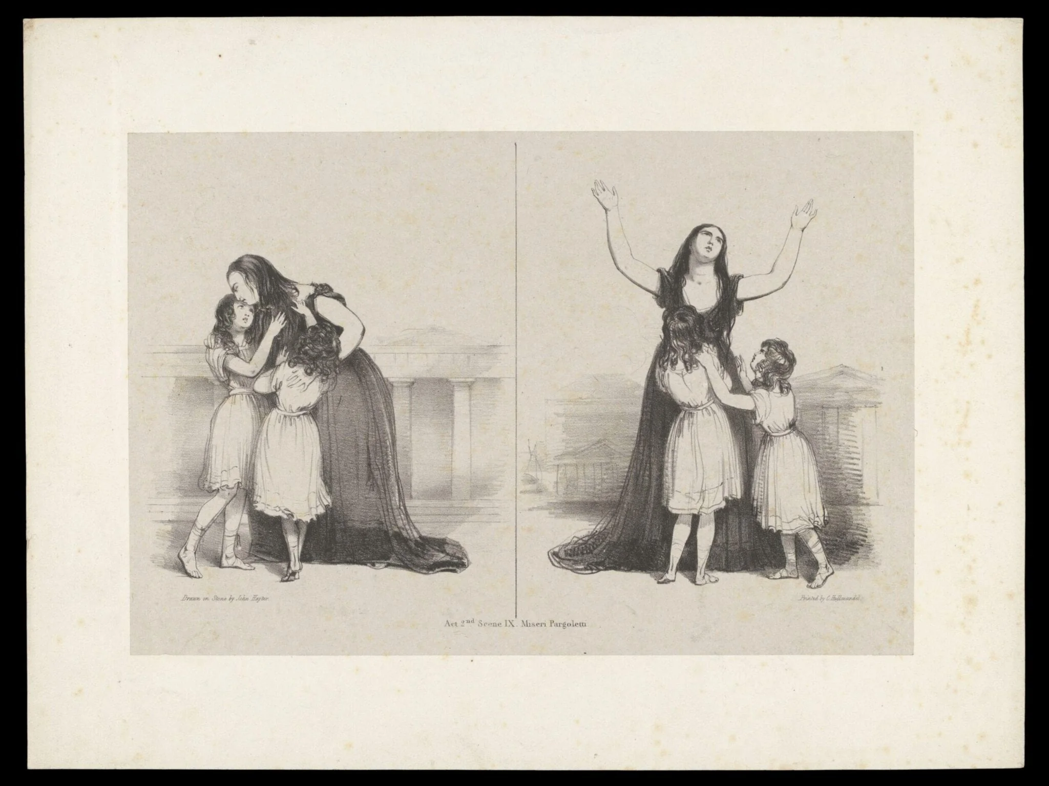H Beard Print Collection