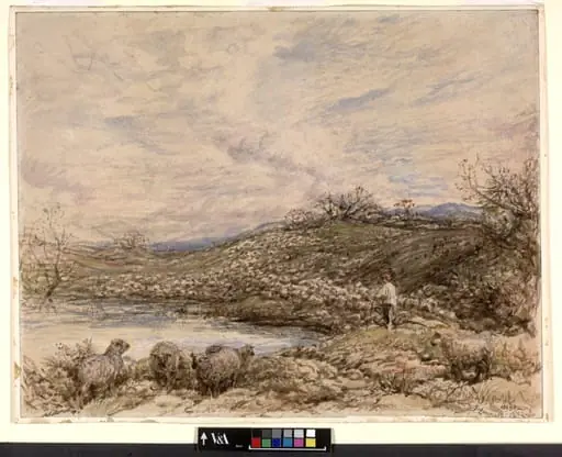 Collecting the Flock
