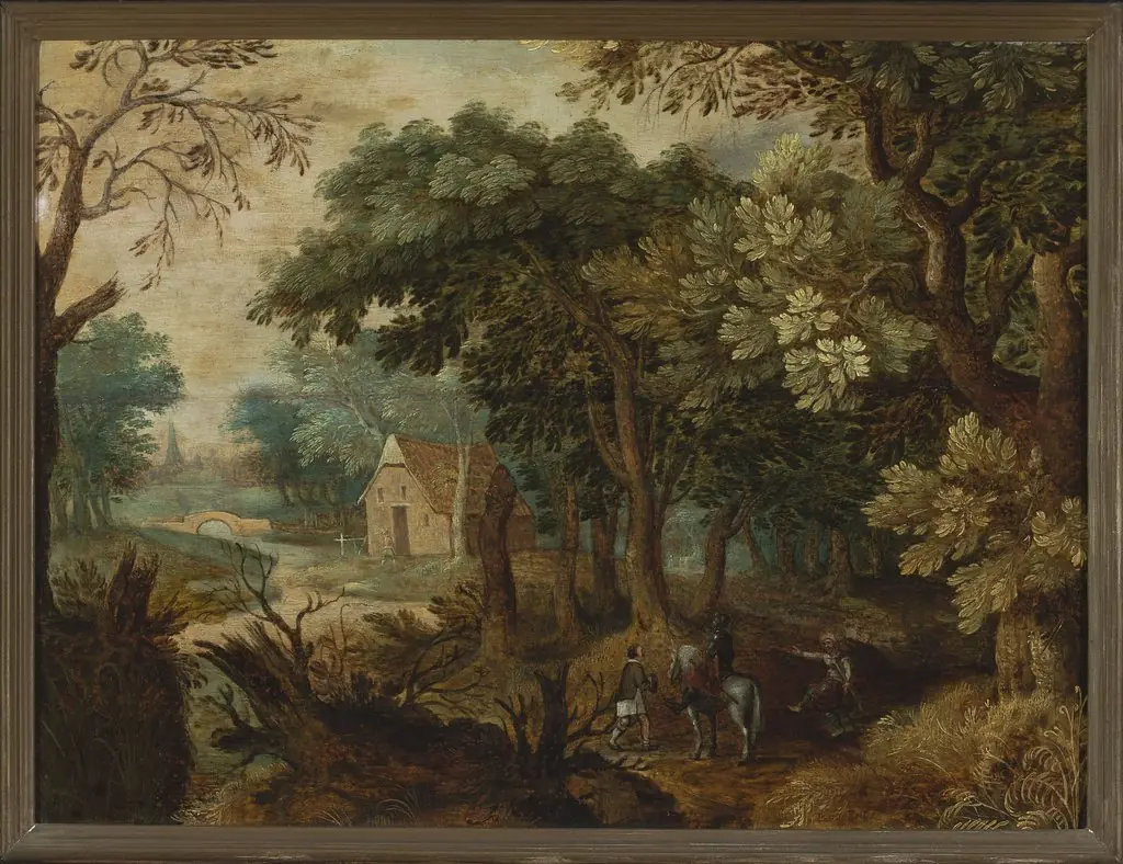 Forest landscape